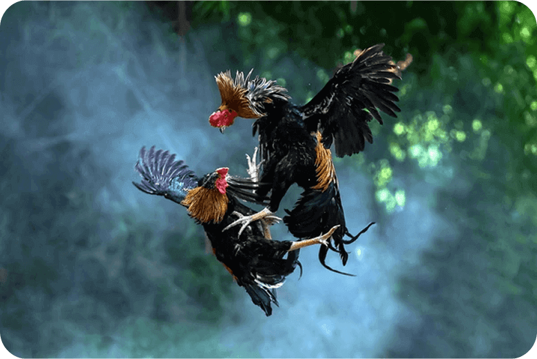 bj66-img-text-sec-img3