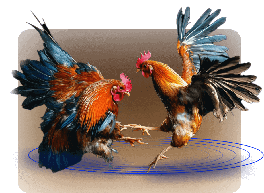 bj66-img-txt-sec-img-2